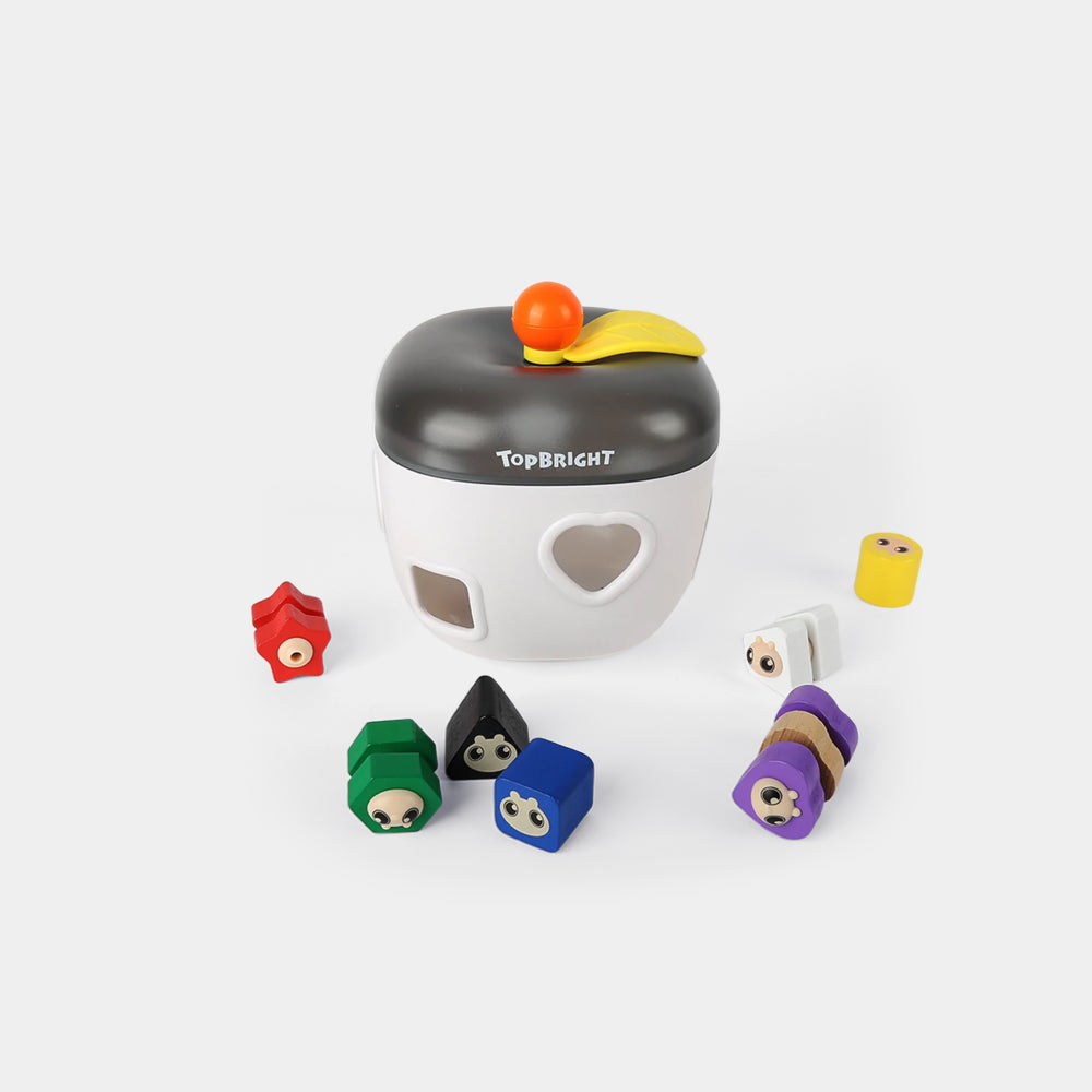Shape Sorter