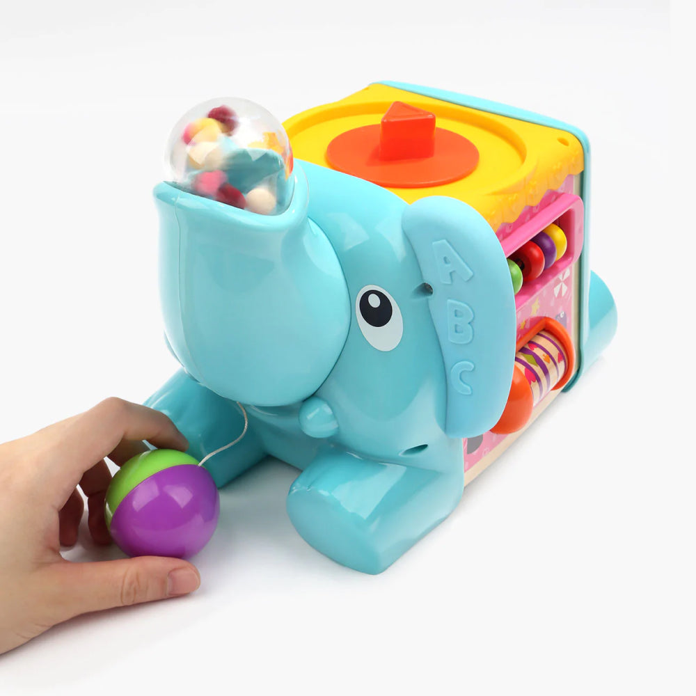 Elephant Activity